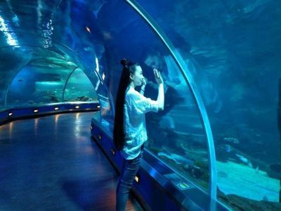 水族館誰負責管理：水族館的管理責任通常由水母館或水族館管理委員會承擔