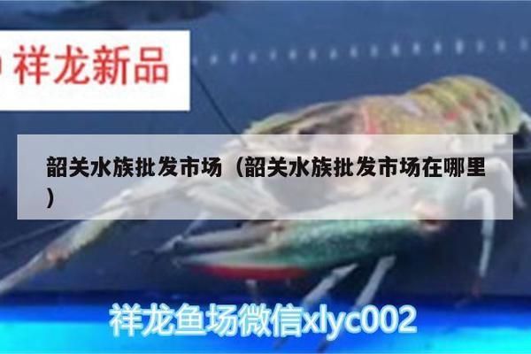 韶關龍魚vs韶關水族批發市場vs韶關水族館vs韶關魚缸批發市場vs祥龍魚場：韶關龍魚vs韶關水族批發市場vs祥龍魚場