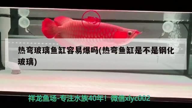 熱彎玻璃魚缸容易爆嗎(熱彎魚缸是不是鋼化玻璃)