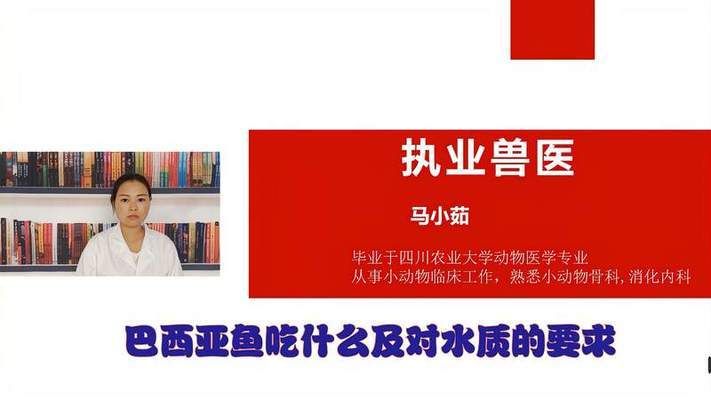 金龍魚最愛吃的5種魚，營養與喂養指南，（注，由于您未提供具體內容，以上標題是根據常見寵物魚飼養話題生成的示例。若您能提供相關文本，我將為您精準定制標題。）