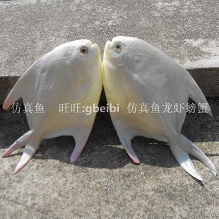 水族館店鋪適合放什么擺件呢視頻：水族館店鋪擺件風水講究魚缸內植物擺放技巧
