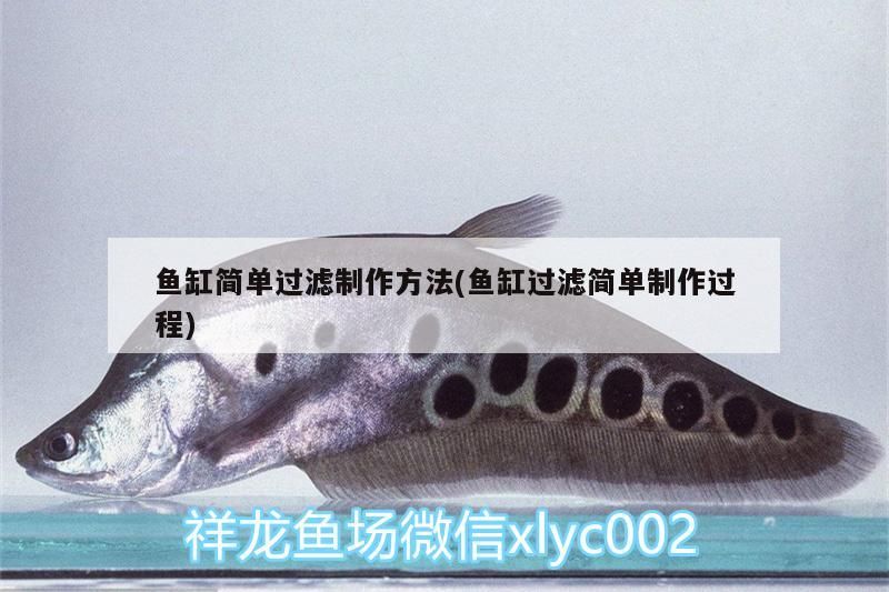 魚缸簡單過濾制作方法(魚缸過濾簡單制作過程)