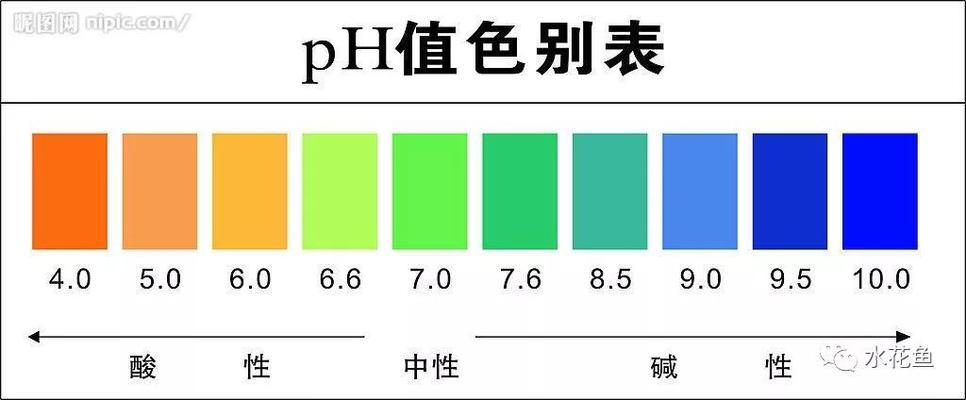 金魚炸鱗幾天能好？全面解析炸鱗病的治療與護理，金魚炸鱗病治療指南，幾天能好及護理全解析