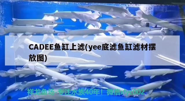 無(wú)錫魚(yú)缸過(guò)濾桶哪里有賣的啊：京東網(wǎng)上購(gòu)買魚(yú)缸外過(guò)濾桶