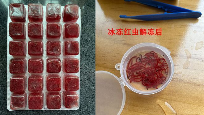 新余魚缸漏水修理電話地址是多少(新余哪里有魚缸出售)