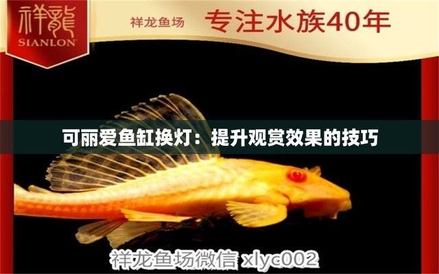 可麗愛魚缸怎么調(diào)換燈光，可麗愛魚缸燈光定時器設(shè)置方法可麗愛魚缸燈光定時器設(shè)置方法