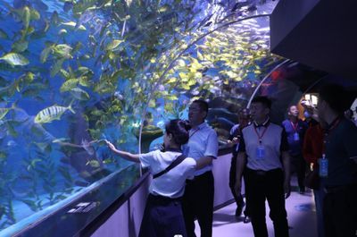 開水族館需要辦什么證件嗎現在（開設水族館所需的證件及其辦理流程）