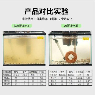 魚缸里白色絲狀物(魚缸里有白絲一樣的東西)