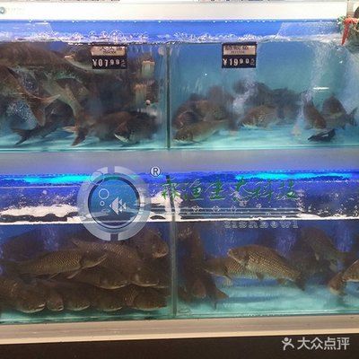 柳州魚缸清洗維護公司電話地址和柳州魚缸清洗服務(wù)有限公司介紹