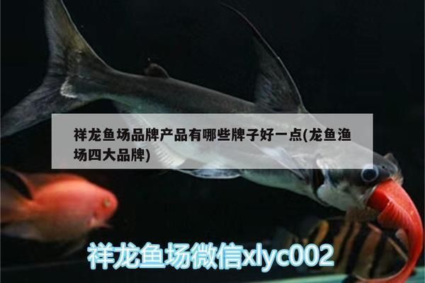 定龍魚線質(zhì)量怎么樣vs祥龍魚場：定龍魚線和祥龍魚場的魚線質(zhì)量對比祥龍魚場口碑如何