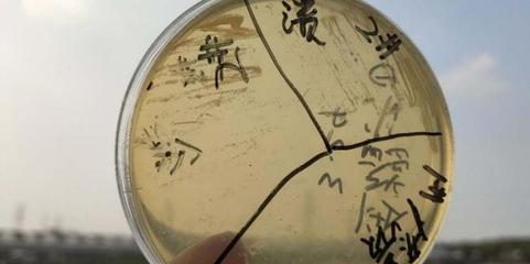 鄭州觀賞魚批發銷售店在哪(鄭州觀賞魚批發銷售店在哪個位置)