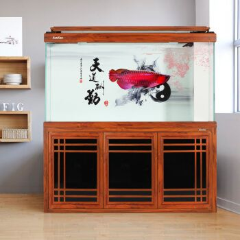 龍魚缸背景，龍魚缸背景圖片素材網站
