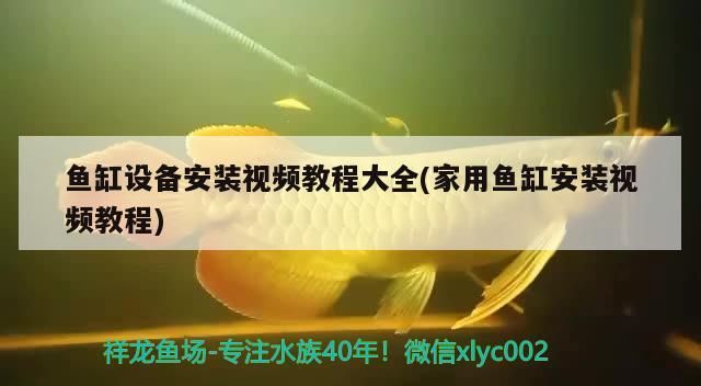 魚缸設(shè)備安裝視頻教程大全(家用魚缸安裝視頻教程)