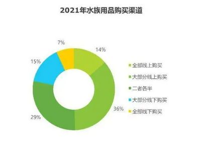 魚缸產品的用戶調研與分析，魚缸外觀設計與家居搭配指南