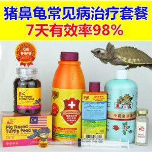 豬鼻龜繁殖場：汕尾市豬鼻龜繁殖場養殖場需要注意以下幾個方面的養殖技術