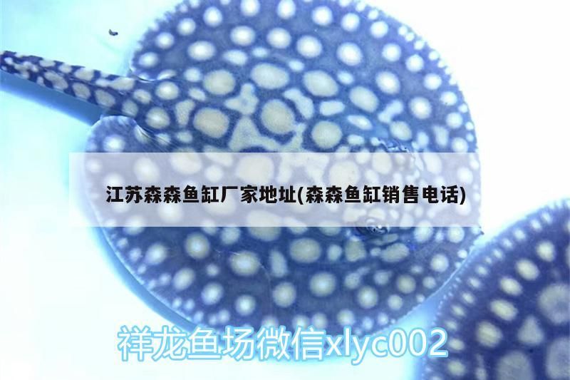 江蘇森森魚(yú)缸廠家地址(森森魚(yú)缸銷(xiāo)售電話)