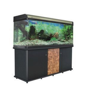 孝感龍魚vs孝感水族批發市場vs孝感水族館vs孝感魚缸批發市場vs祥龍魚場：孝感水族批發市場