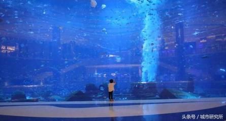 水族館開在什么地方合適呢（哈密水族館的選址應考慮交通便利性、周邊環境以及成本效益）