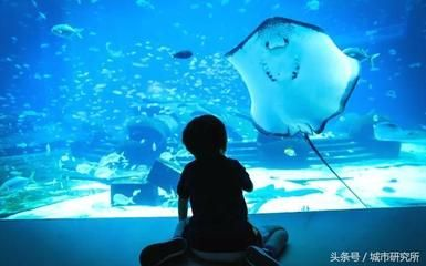 水族館開在什么地方合適呢（哈密水族館的選址應考慮交通便利性、周邊環境以及成本效益）
