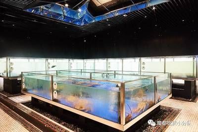 水族館開在什么地方合適呢（哈密水族館的選址應考慮交通便利性、周邊環境以及成本效益）