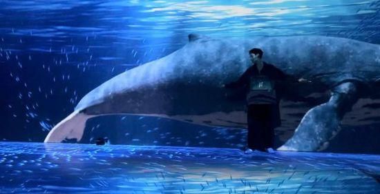 靜海水族館在哪：上海靜海水族館營業時間查詢新泰靜海水族館門票價格對比