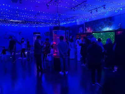 靜海水族館在哪：上海靜海水族館營業時間查詢新泰靜海水族館門票價格對比