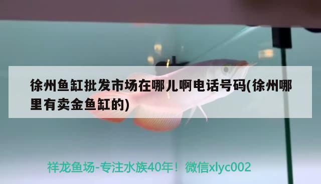 徐州魚缸批發市場在哪兒啊電話號碼(徐州哪里有賣金魚缸的)