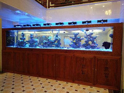 祥龍水族館加盟條件詳解（祥龍水族館加盟優勢分析）