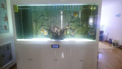2米魚缸能進電梯嗎：1.5米高的魚缸無法垂直放入電梯