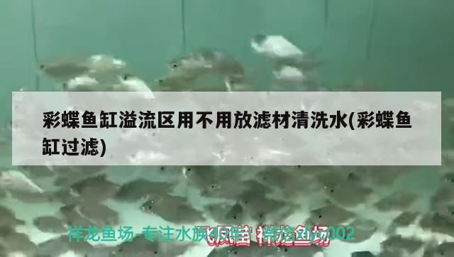 彩蝶魚(yú)缸溢流區(qū)用不用放濾材清洗水(彩蝶魚(yú)缸過(guò)濾)