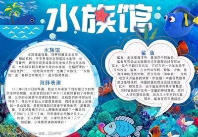 一般水族館都賣些什么魚?(水族館售賣的魚類種類繁多,) 水族館百科(水族館加盟) 第6張 一般水族館都賣些什么魚?(水族館售賣的魚類種類繁多,) 一般水族館都賣些什么魚?(水族館售賣的魚類種類繁多,) 水族館百科(水族館加盟) 第6張