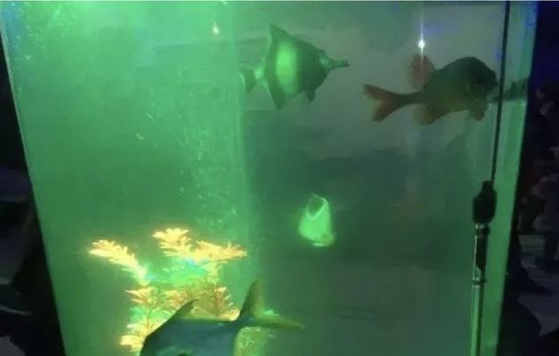 水族館放在客廳哪里？：客廳魚缸風水布局技巧 水族館放在客廳哪里？：客廳魚缸風水布局技巧 水族館百科（水族館加盟） 第2張