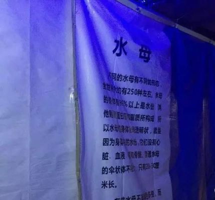 水族館放在客廳哪里？：客廳魚缸風水布局技巧 水族館放在客廳哪里？：客廳魚缸風水布局技巧 水族館百科（水族館加盟） 第4張