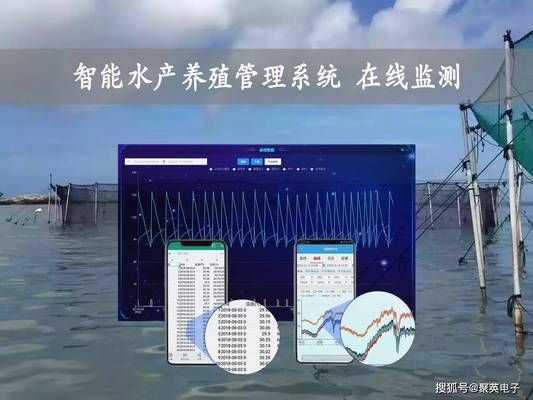 銀龍魚掉了一塊鱗片怎么辦視頻(金龍魚鱗片掉了怎么辦)