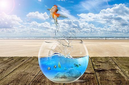 魚缸背景原圖，如何制作個性化魚缸背景