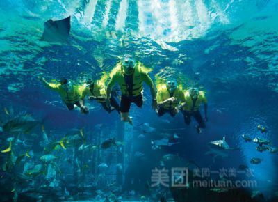 亞特蘭蒂斯水世界和水族館哪個好（亞特蘭蒂斯水世界和亞特蘭蒂斯水世界和水族館各有特色）