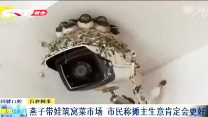 水族館生意不好（探討水族館生意不佳的原因）