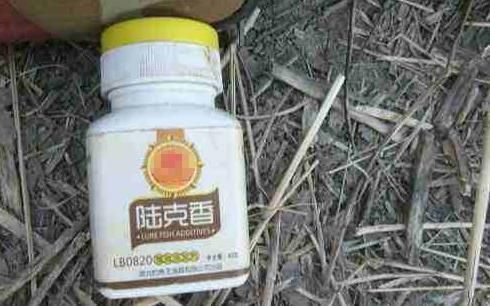 龍魚品相怎么看vs祥龍魚場：如何評估龍魚品相