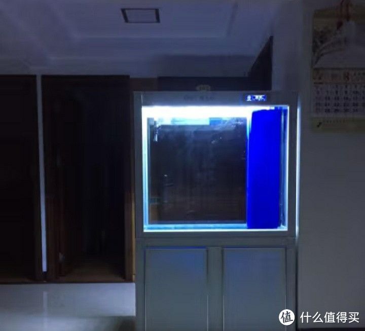 金龍魚水溫監控技術應用：金龍魚水溫監控系統