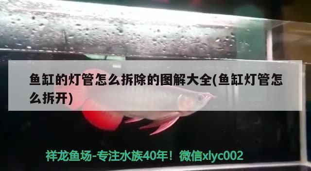 魚缸的燈管怎么拆除的圖解大全(魚缸燈管怎么拆開)
