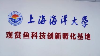 飼養(yǎng)紅龍魚用哪些檢測水質(zhì)設備的方法：紅龍魚水質(zhì)檢測設備
