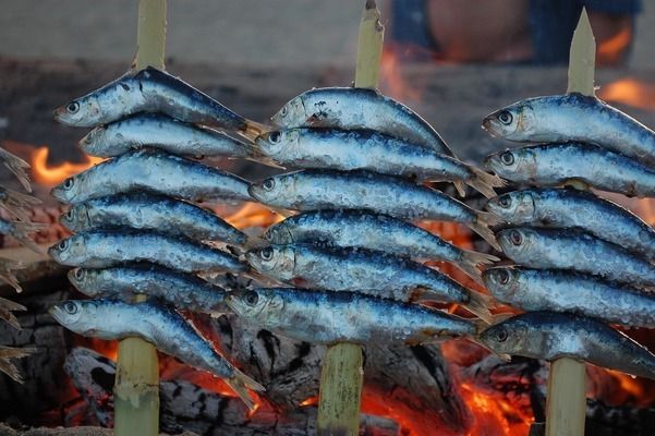 龍魚最低溫度多少能存活（龍魚最低溫度多少能存活呢）