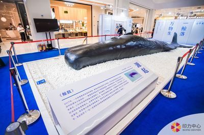 新加坡金龍魚好嗎值得買嗎(新加坡過背金龍魚怎么樣) 金龍魚百科 第3張 新加坡金龍魚好嗎值得買嗎(新加坡過背金龍魚怎么樣) 新加坡金龍魚好嗎值得買嗎(新加坡過背金龍魚怎么樣) 金龍魚百科 第3張