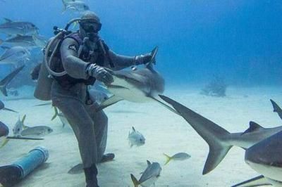 水族館表演時間（徐州市水族館表演時間在2019年夏季和節假日的營業時間調整）