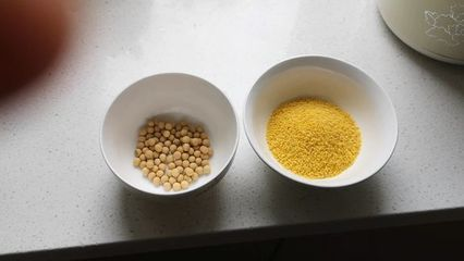 黃金貓魚(yú)飼料選購(gòu)技巧（如何辨別黃金貓魚(yú)飼料質(zhì)量，黃金貓魚(yú)飼料保存方法）