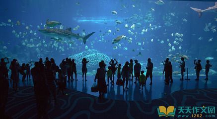 水族館怎么說用英語（水族館是什么意思）
