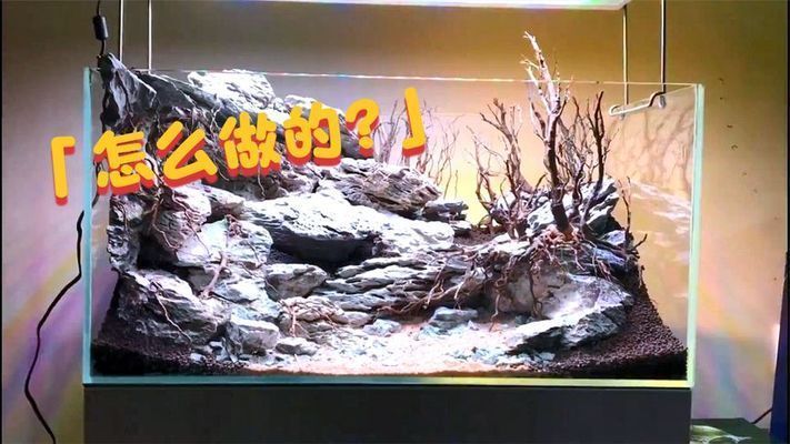 60公分魚缸造景設計方案圖：60公分魚缸造景設計
