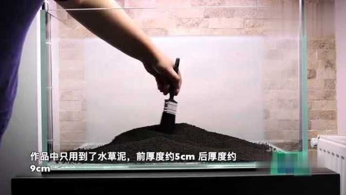 60公分魚缸造景設計方案圖：60公分魚缸造景設計