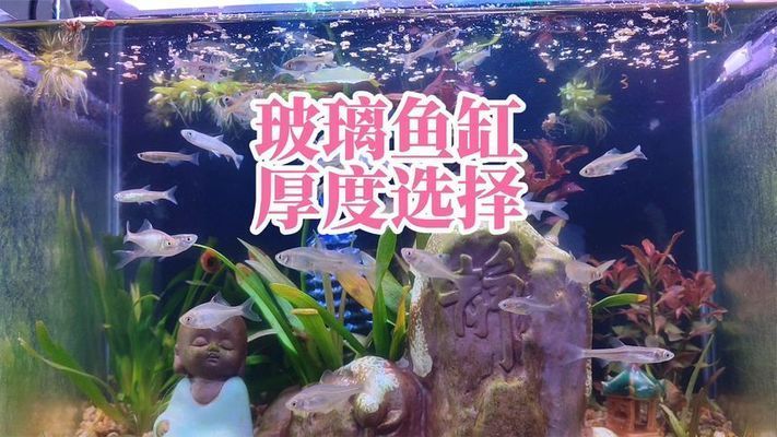 1米長40公分寬的魚缸總多厚玻璃：如何計算魚缸玻璃厚度
