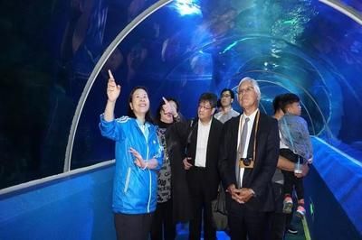 水族館代表什么：水族館不僅僅是一個展示水生生物的地方 水族館代表什么：水族館不僅僅是一個展示水生生物的地方 水族館百科（水族館加盟） 第6張